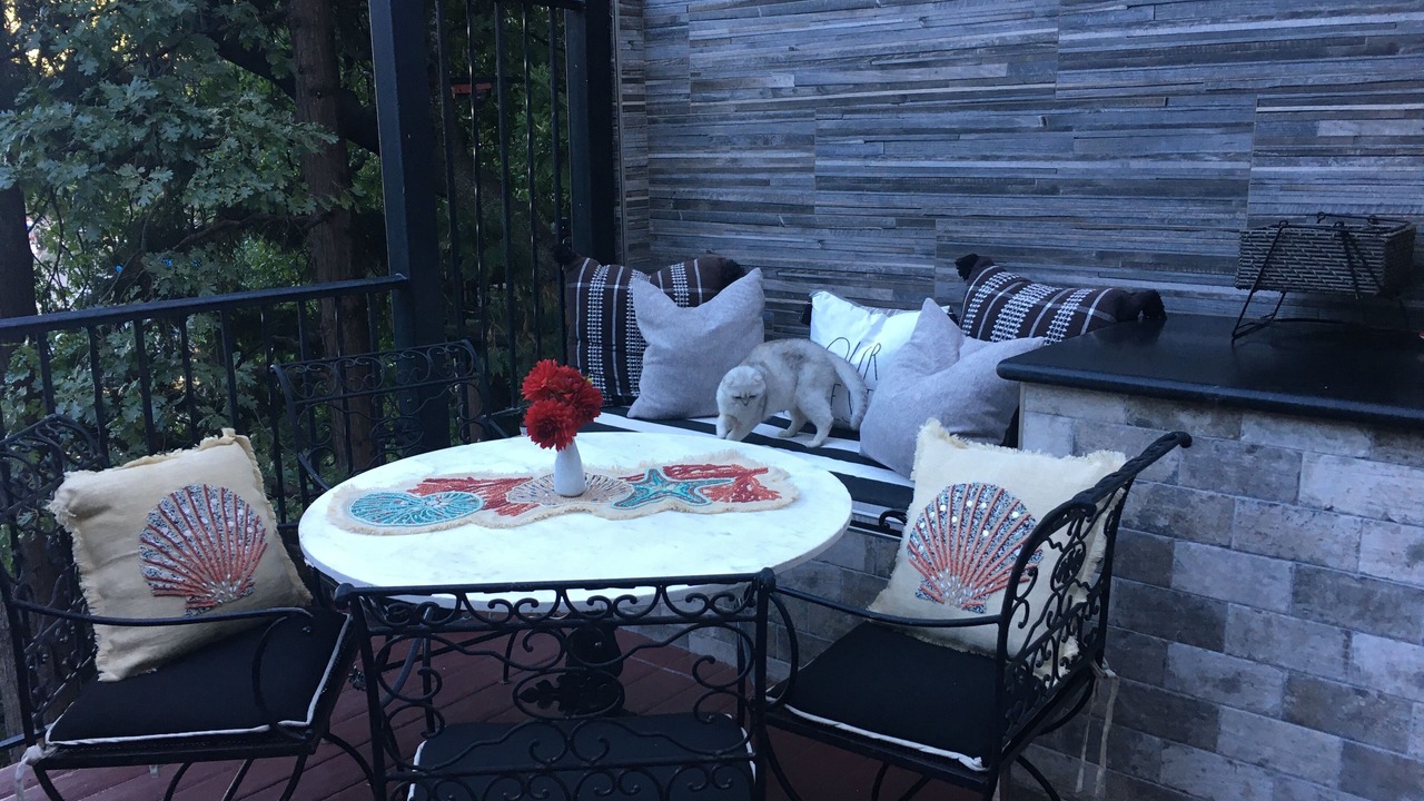 Photo of Outdoor in Blue Jay