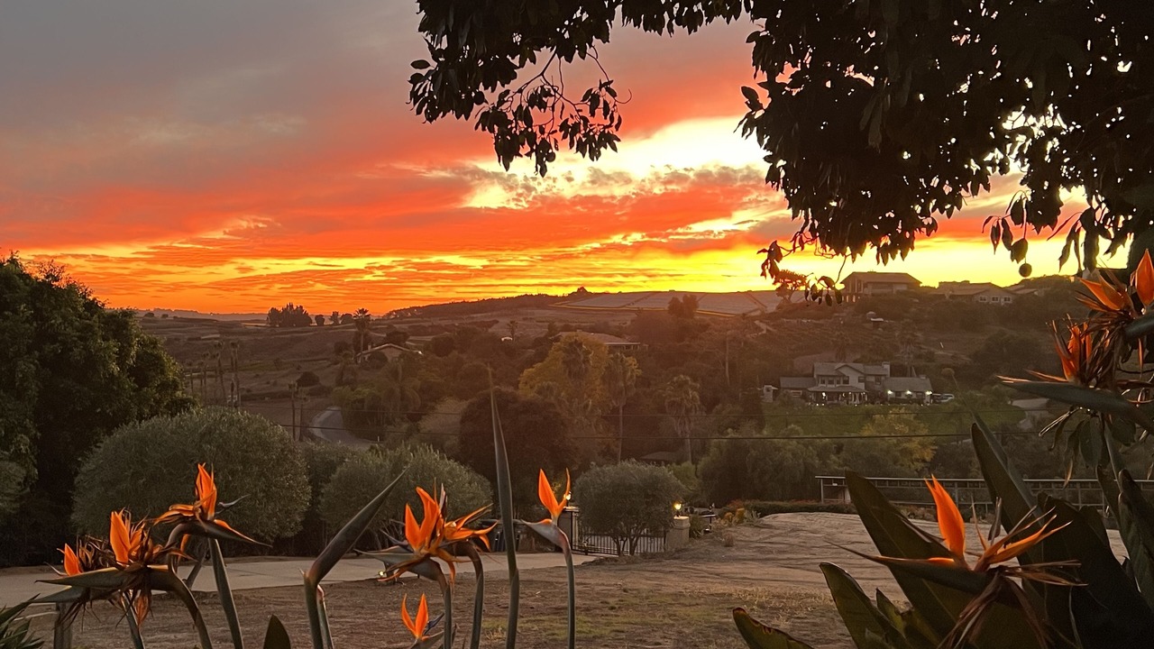 Photo of Outdoor in Bonsall