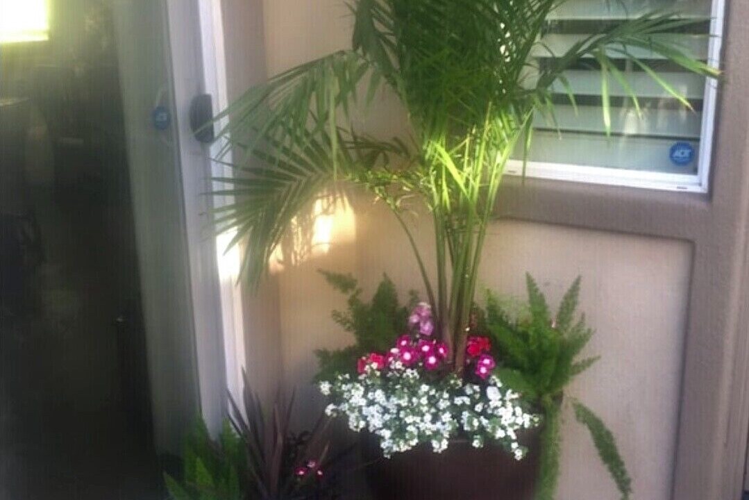 Photo of Outdoor in Indio
