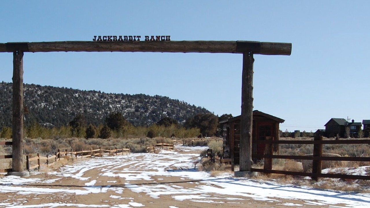 Photo of Others in Baldwin Lake