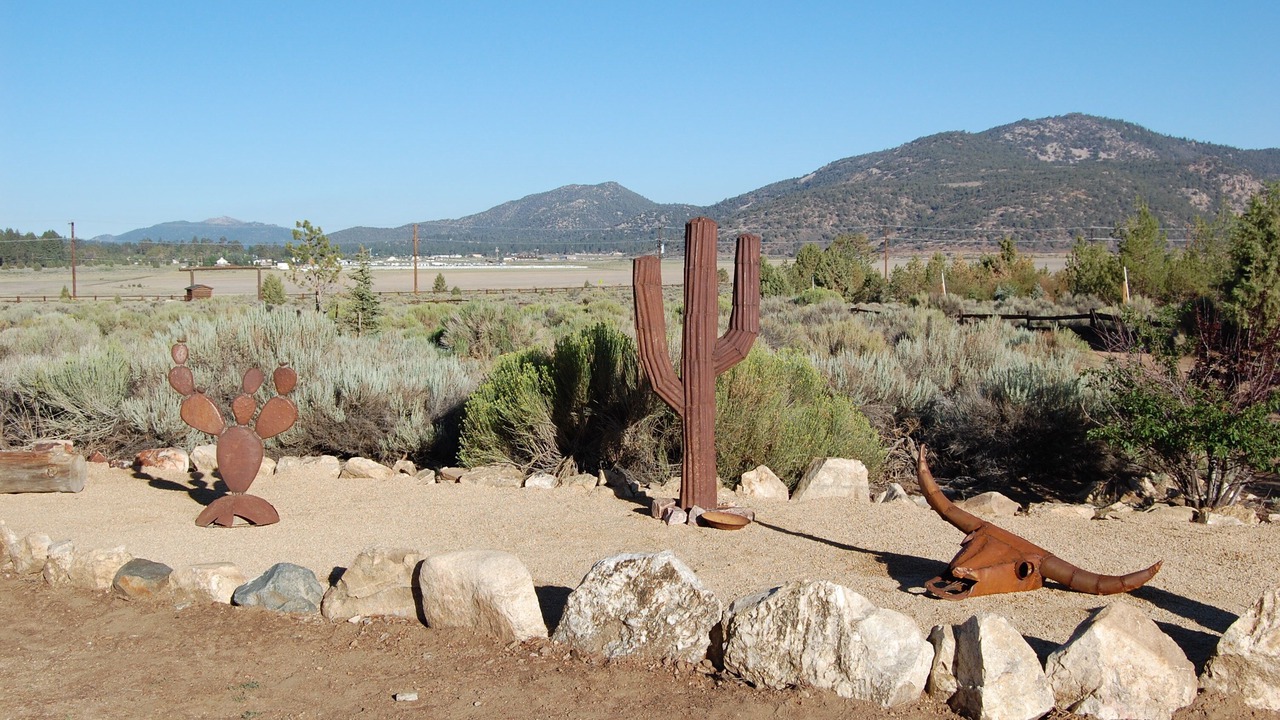 Photo of Outdoor in Baldwin Lake