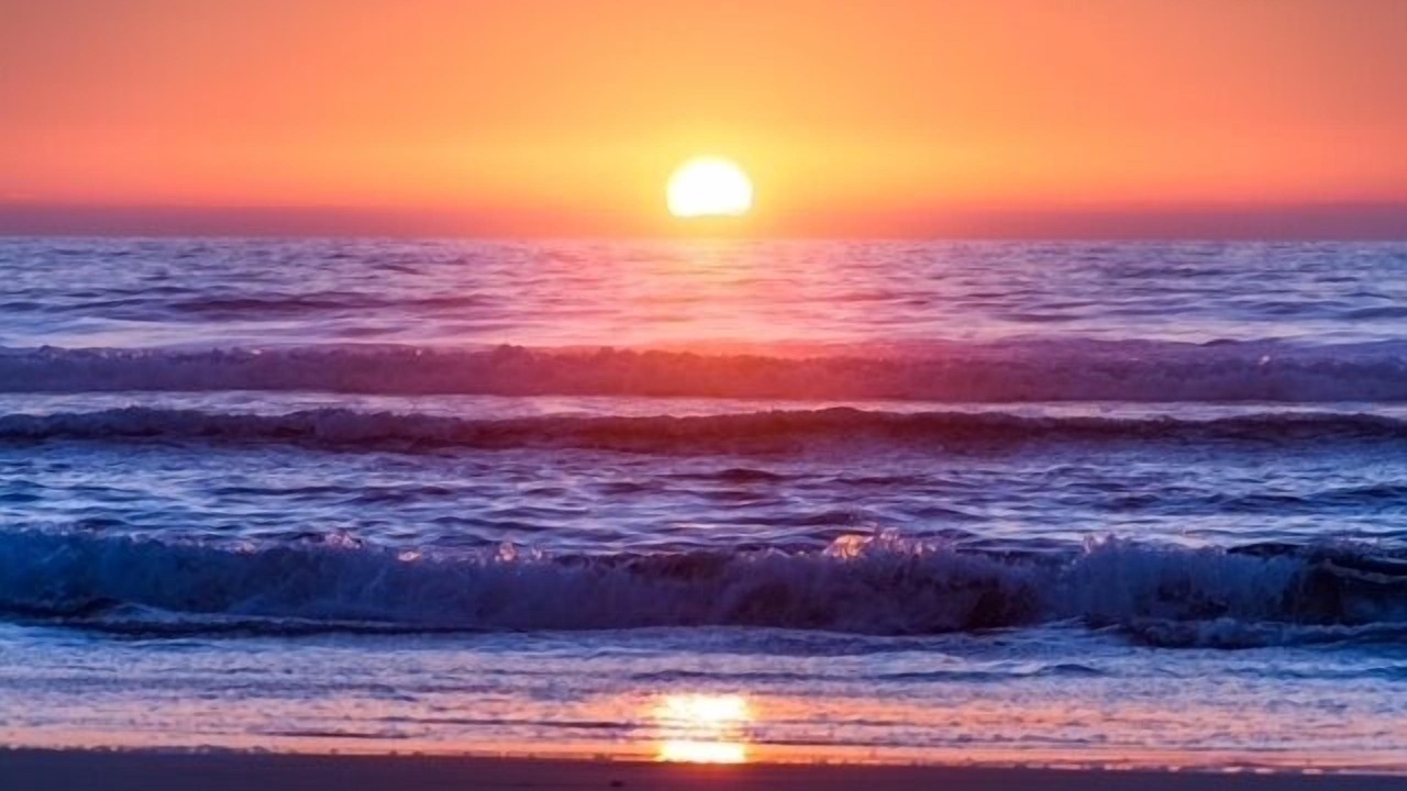 Photo of Others in Del Mar