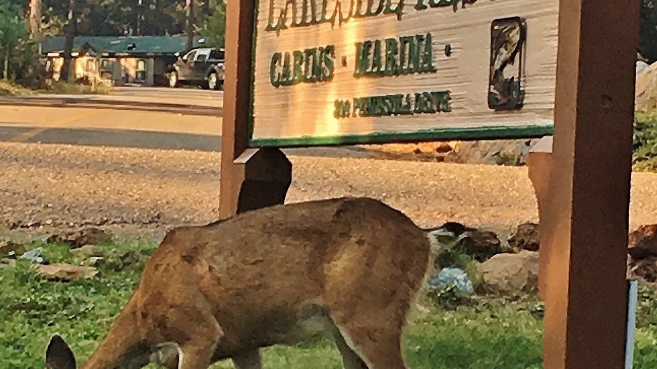 Photo of Others in Peninsula Village