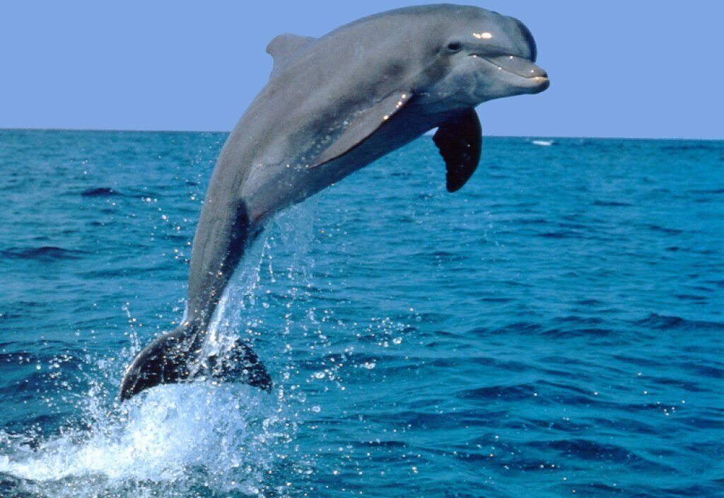 Photo of Others in Eastern Malibu