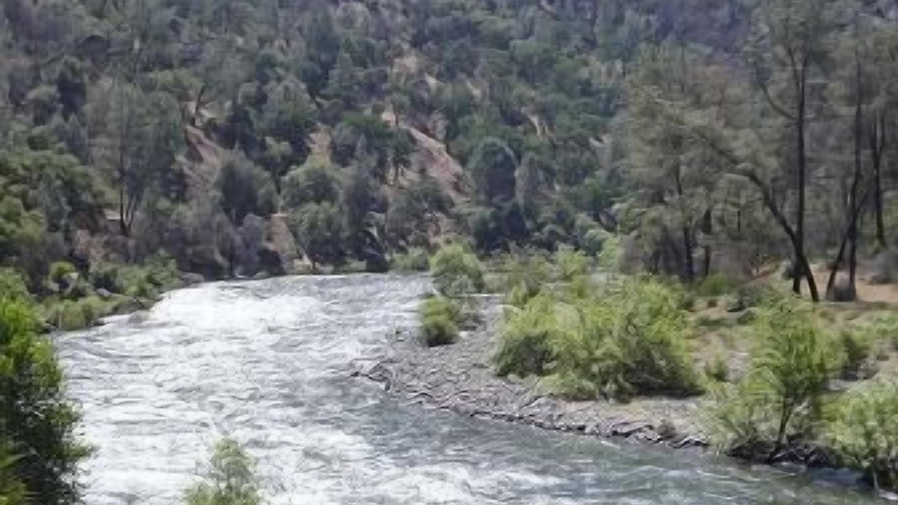 Photo of Others in Mariposa