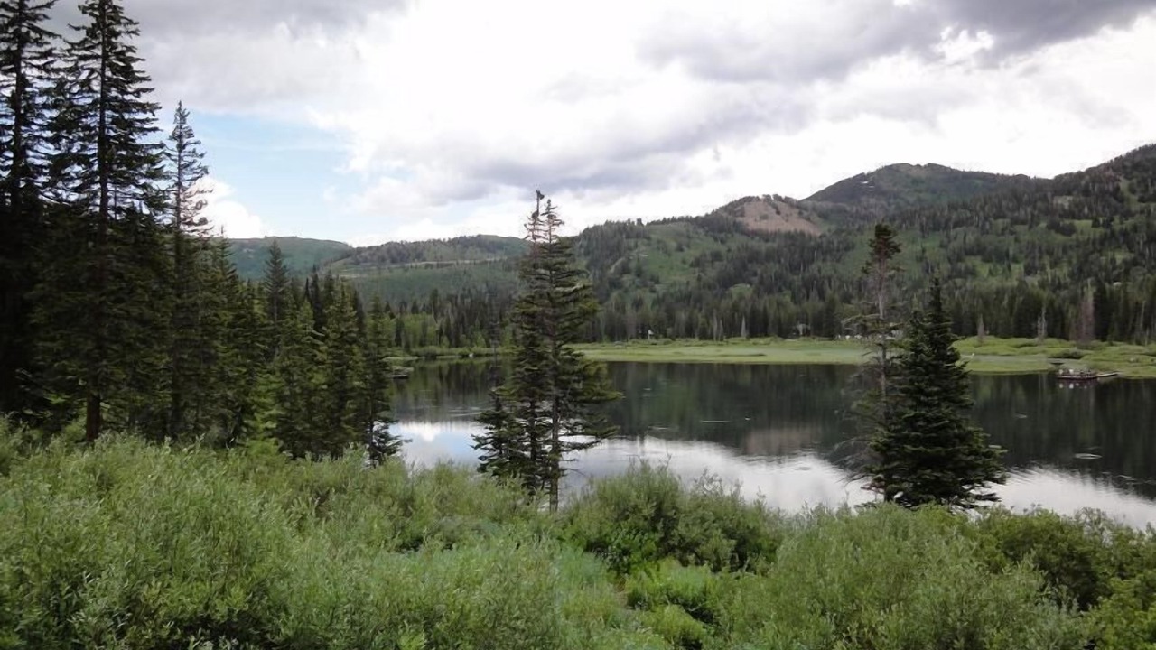 Photo of Outdoor in Mariposa