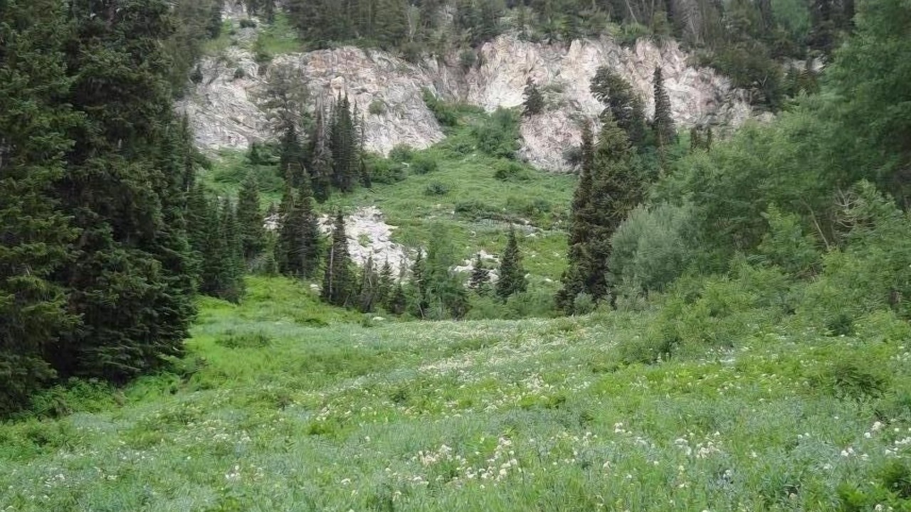 Photo of Others in Mariposa
