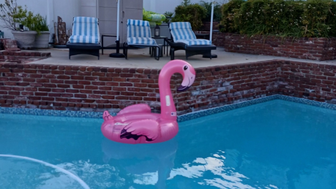 Photo of Outdoor in Eagle Rock