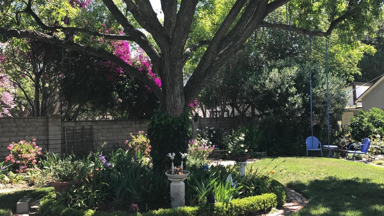 Photo of Outdoor in Northridge