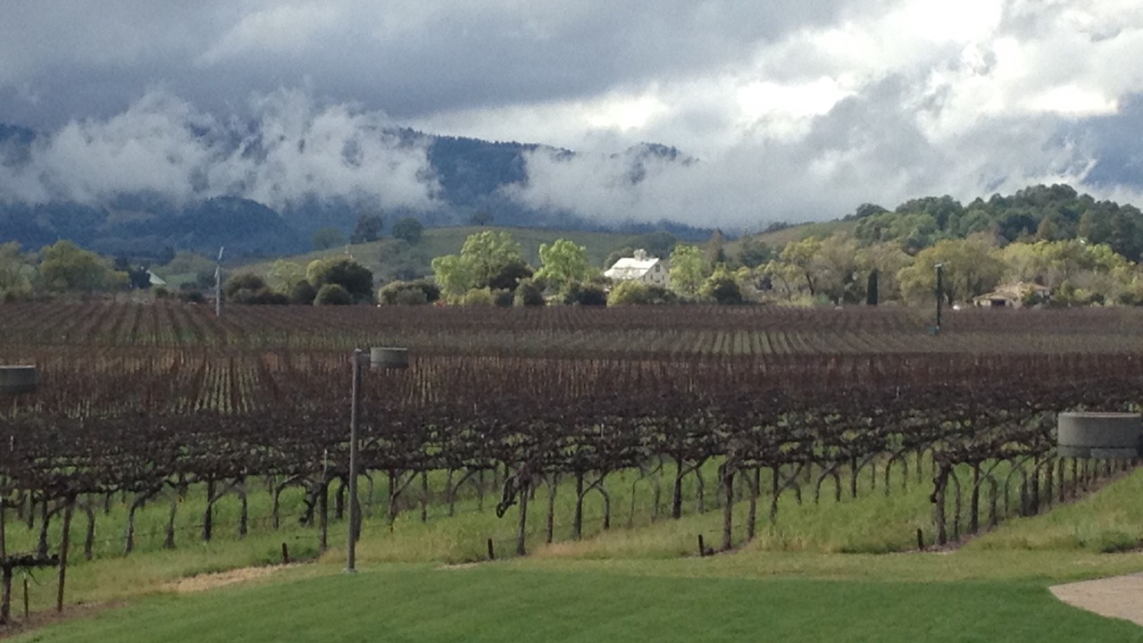 Photo of Others in Napa