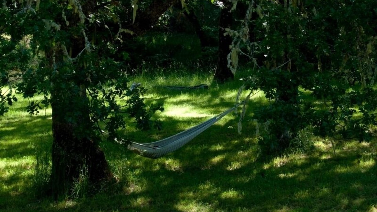 Photo of Others in Willits