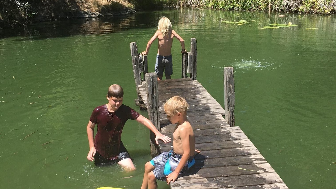 Photo of Others in Willits