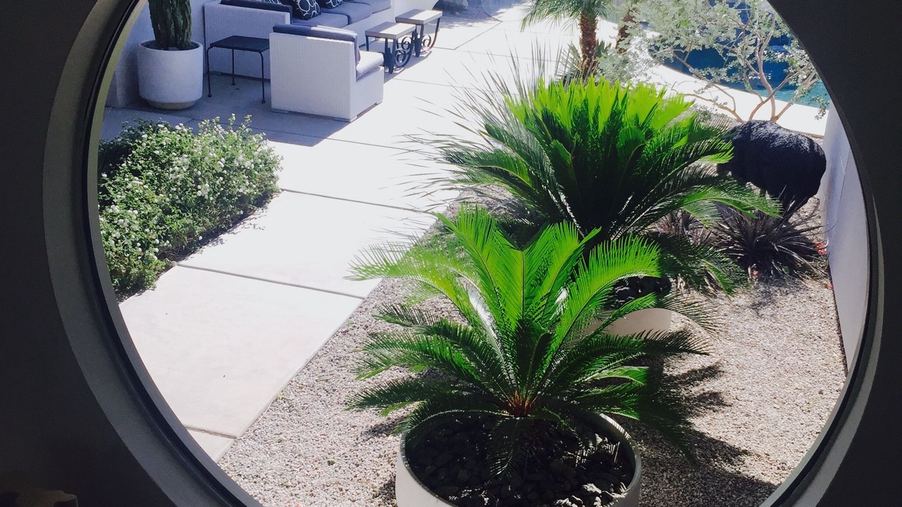 Photo of Others in Palm Springs