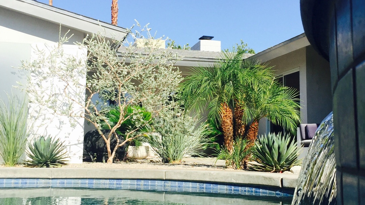 Photo of Outdoor in Palm Springs