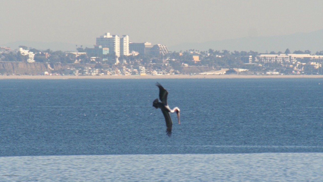 Photo of Others in Eastern Malibu