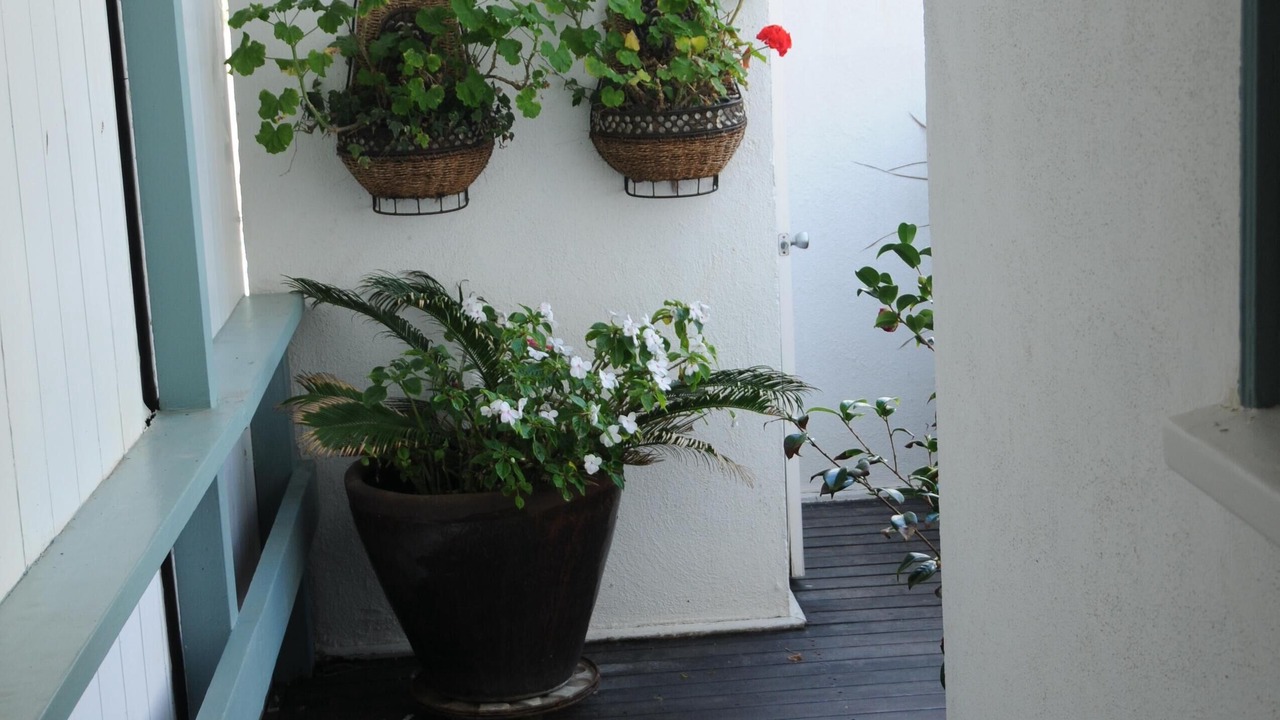 Photo of Outdoor in Central Malibu