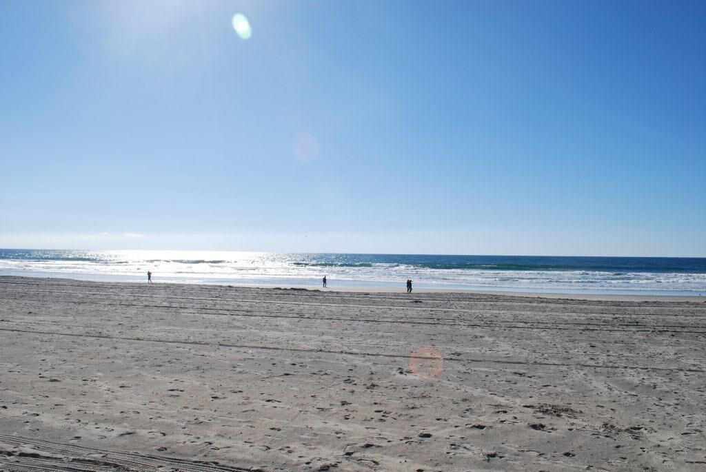Photo of Others in Central Mission Beach