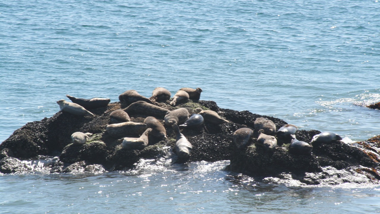 Photo of Others in Eastern Malibu
