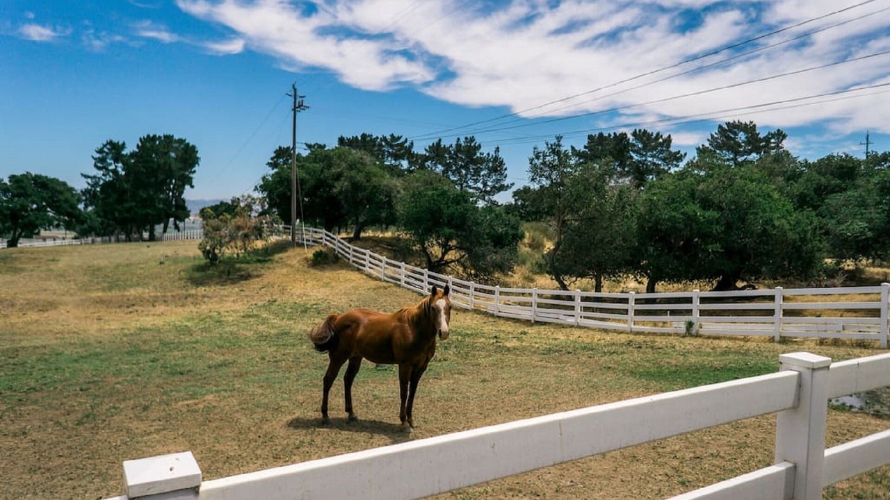 Photo of Others in Salinas