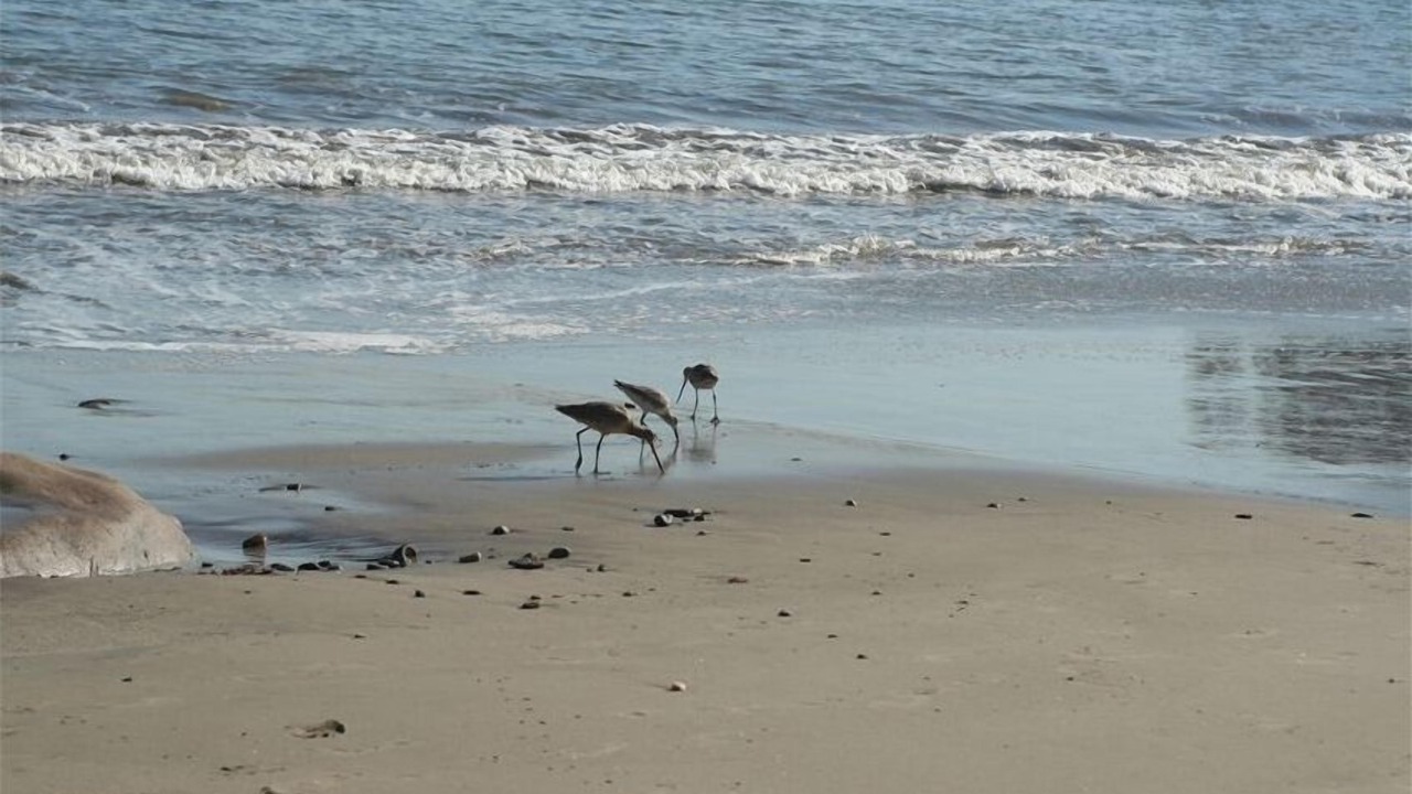 Photo of Others in Eastern Malibu