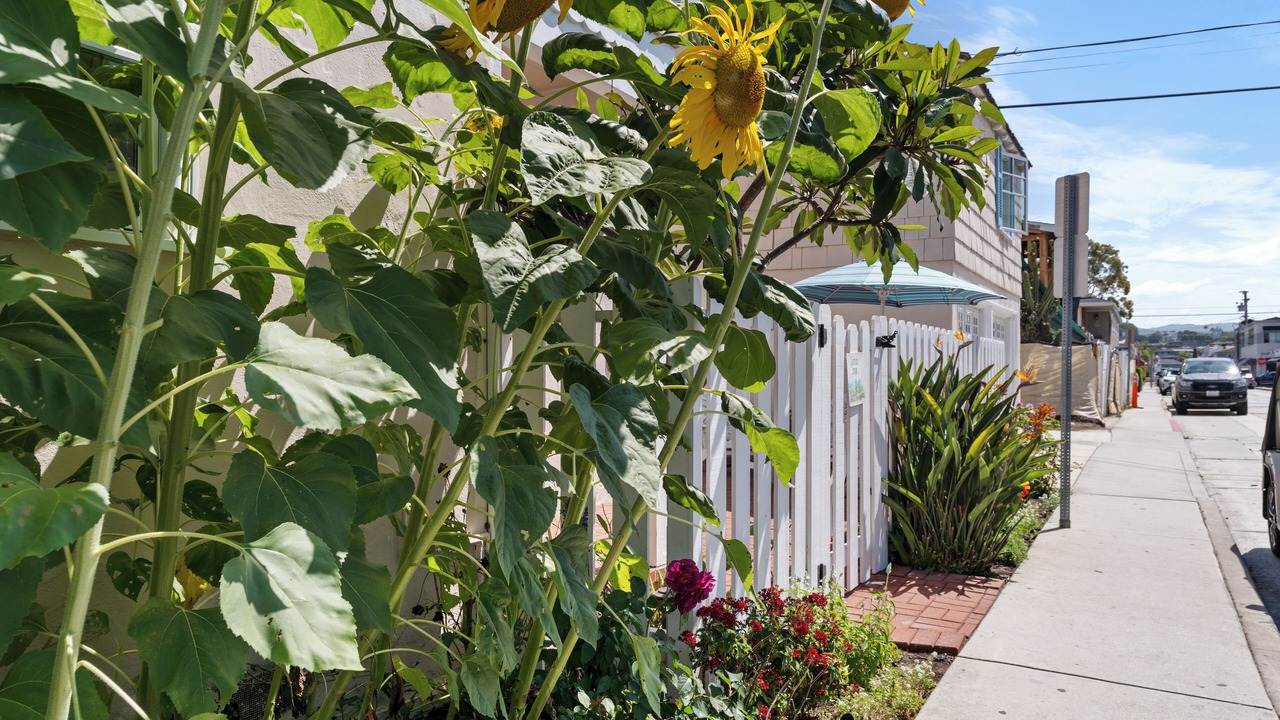 Photo of Outdoor in Balboa Island