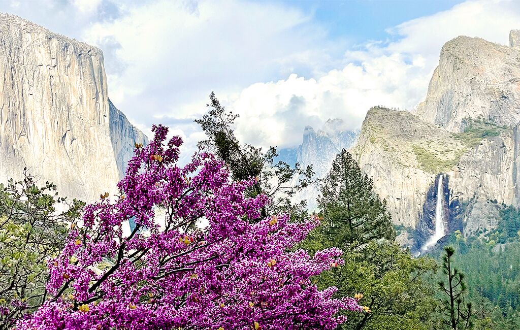 Photo of Others in Yosemite West
