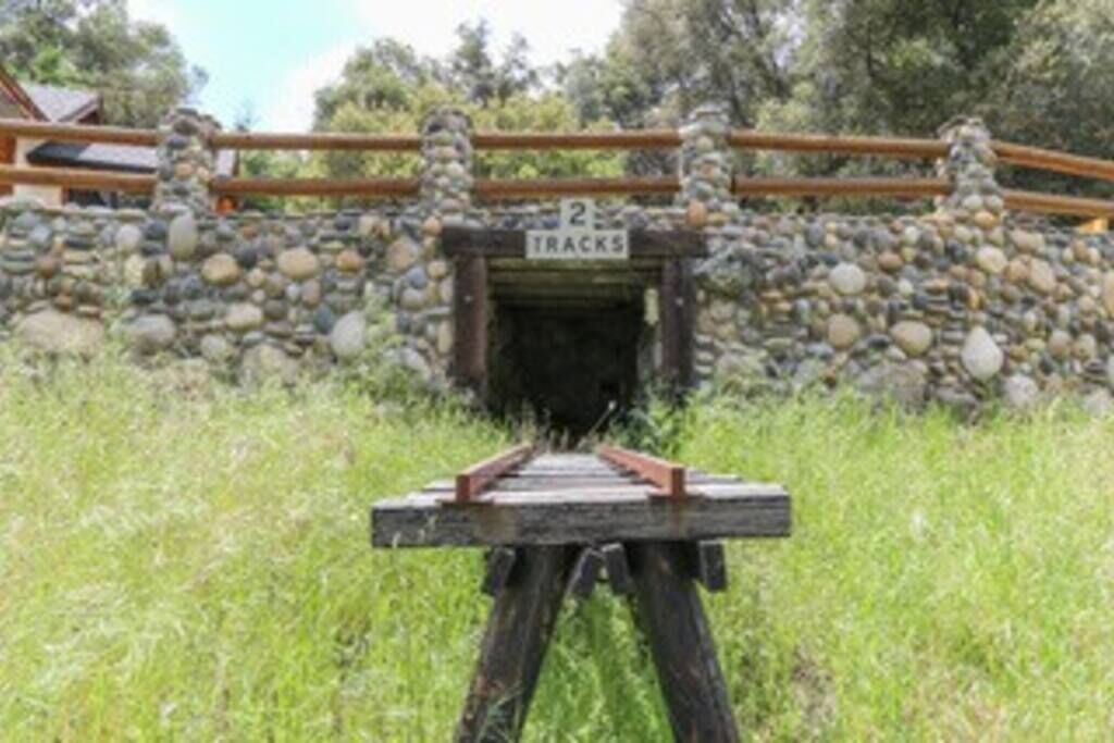 Photo of Others in Yosemite Forks