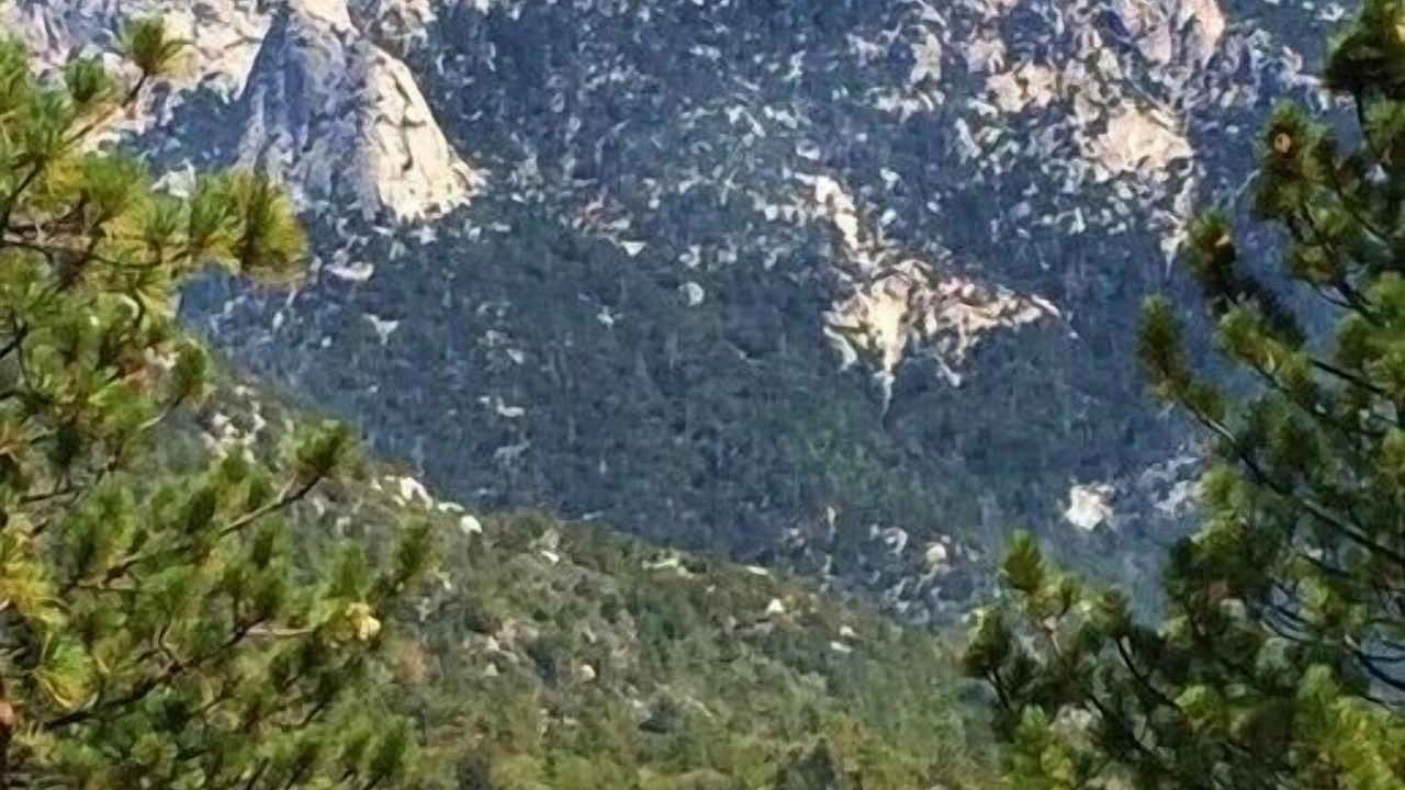 Photo of Others in Pine Cove