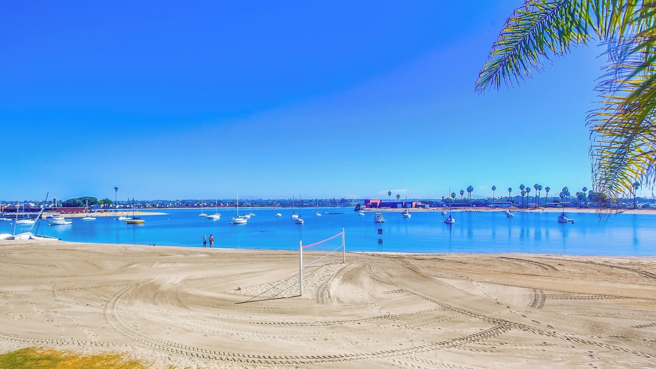 Photo of Others in Central Mission Beach