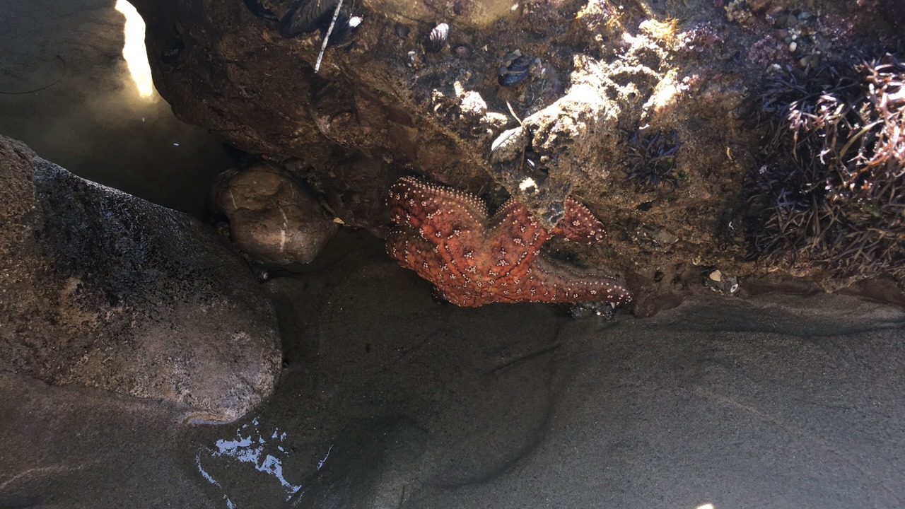 Photo of Others in Eastern Malibu