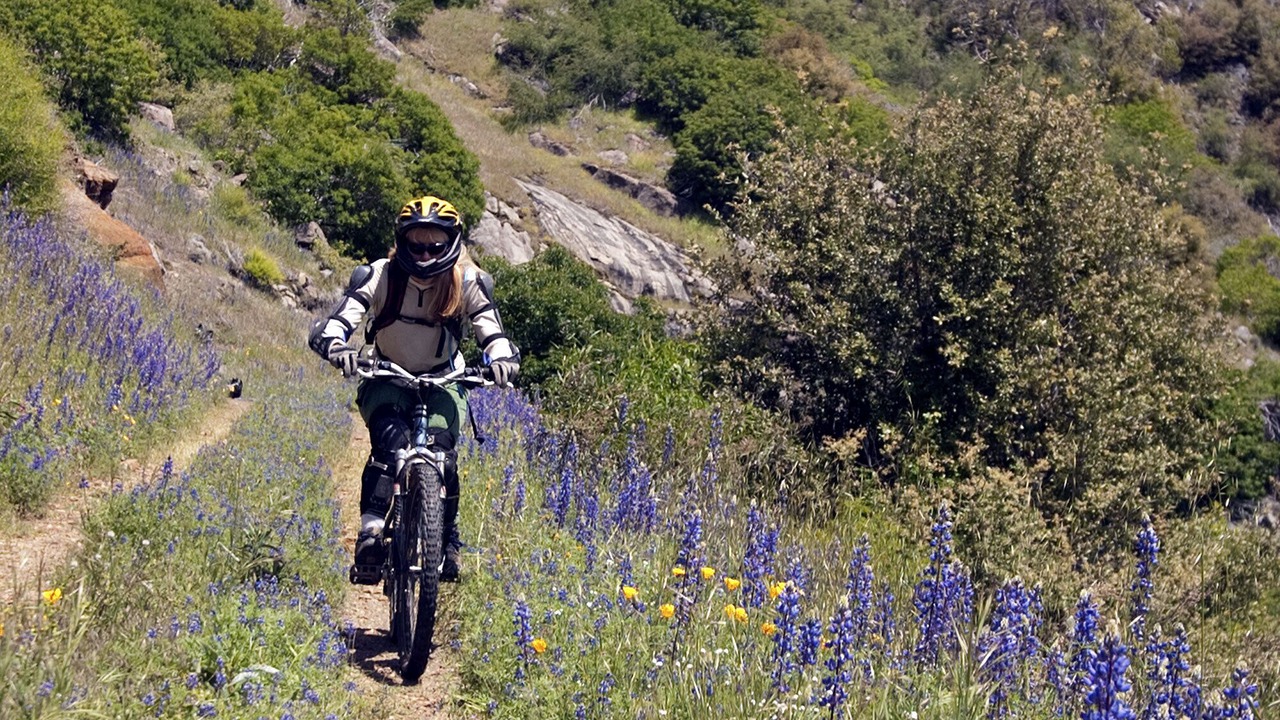 Photo of Outdoor in Foresta