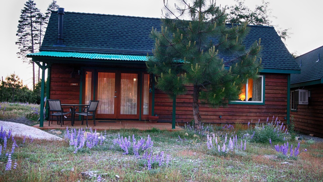 Photo of Outdoor in Foresta