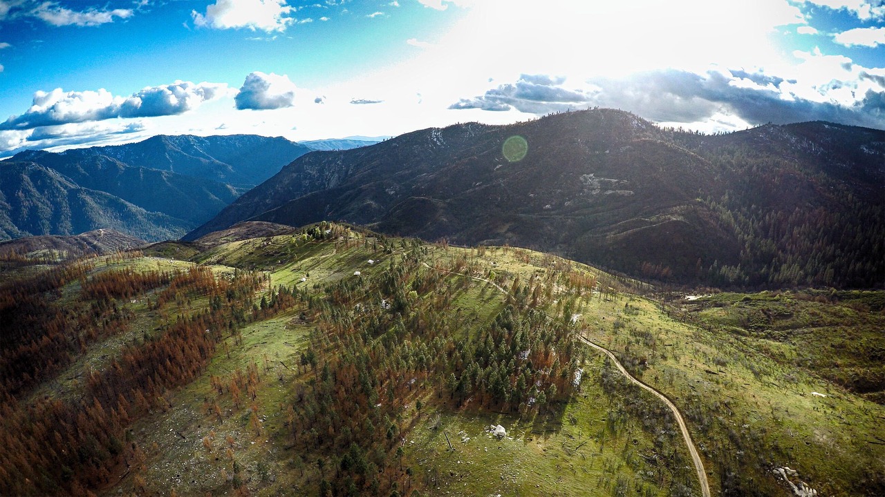 Photo of Outdoor in Foresta