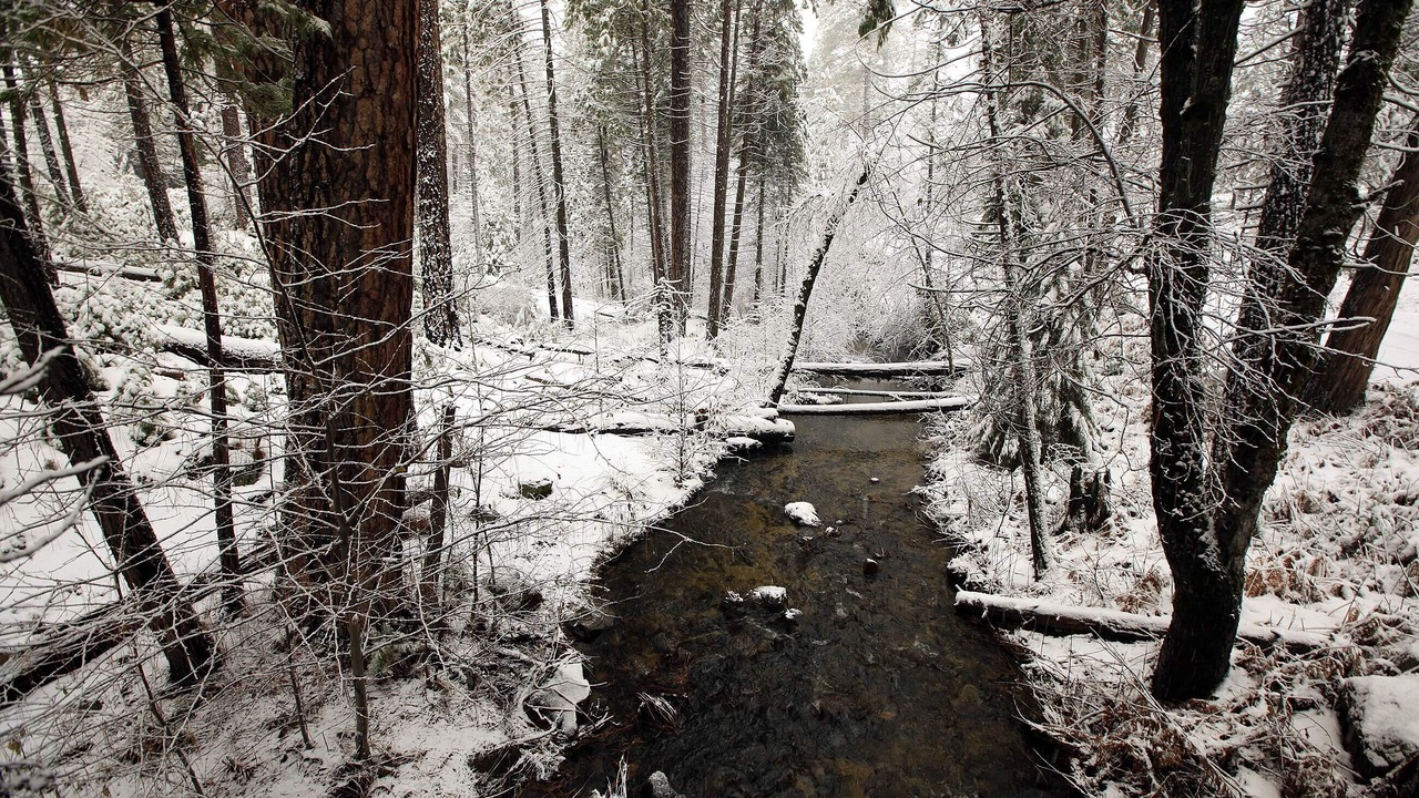 Photo of Outdoor in Foresta