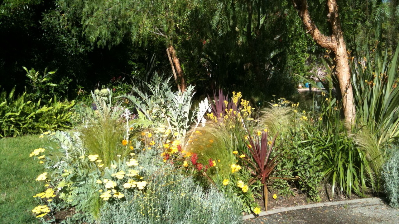 Photo of Others in Altadena
