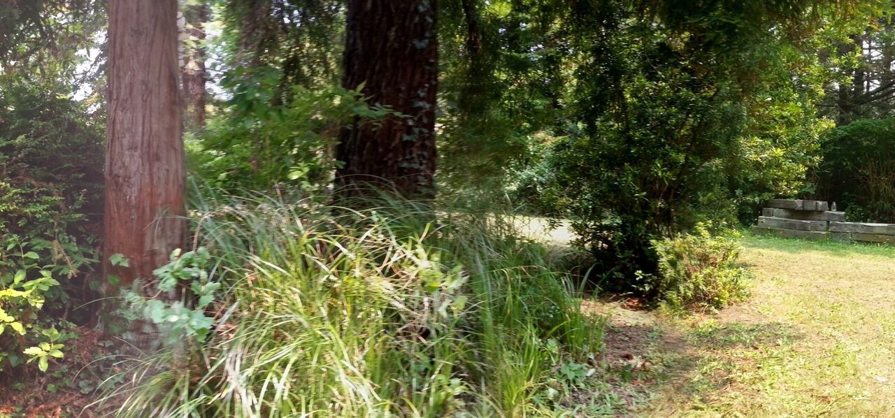 Photo of Others in Fort Bragg