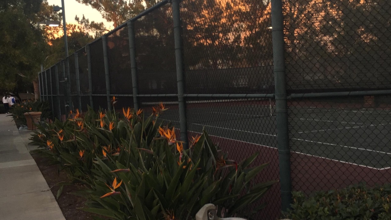 Photo of Others in Westpark