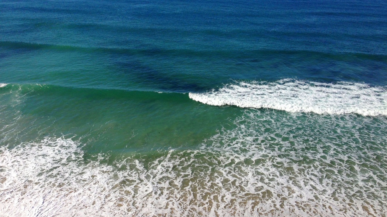 Photo of Others in Solana Beach