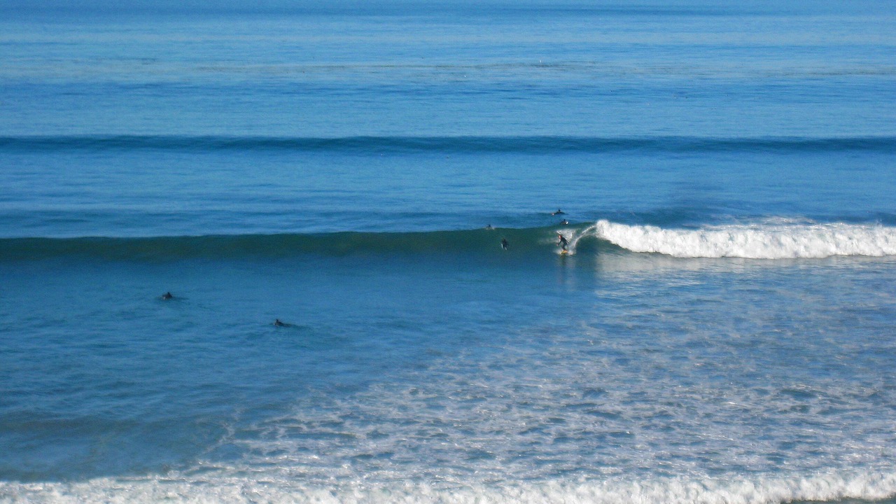 Photo of Others in Solana Beach