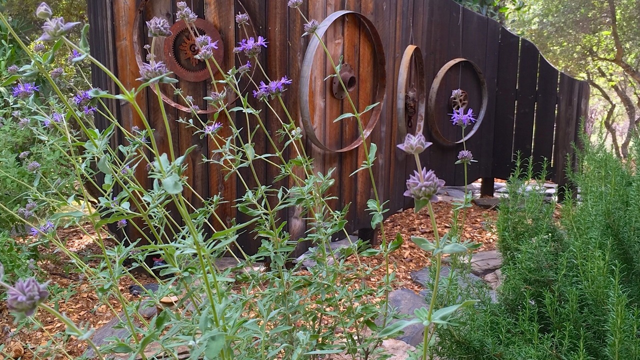 Photo of Outdoor in Midpines