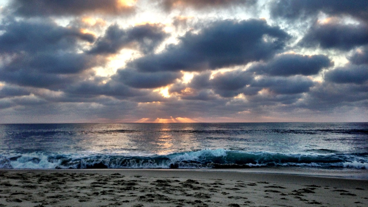 Photo of Others in Beach Barber Tract