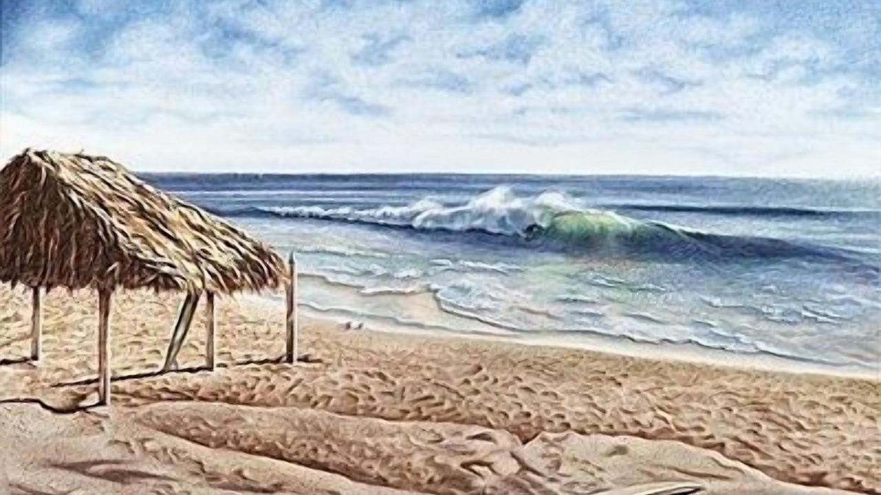 Photo of Others in Beach Barber Tract