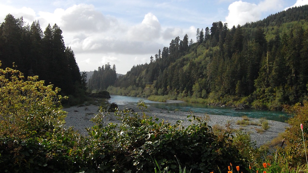 Photo of Others in Crescent City
