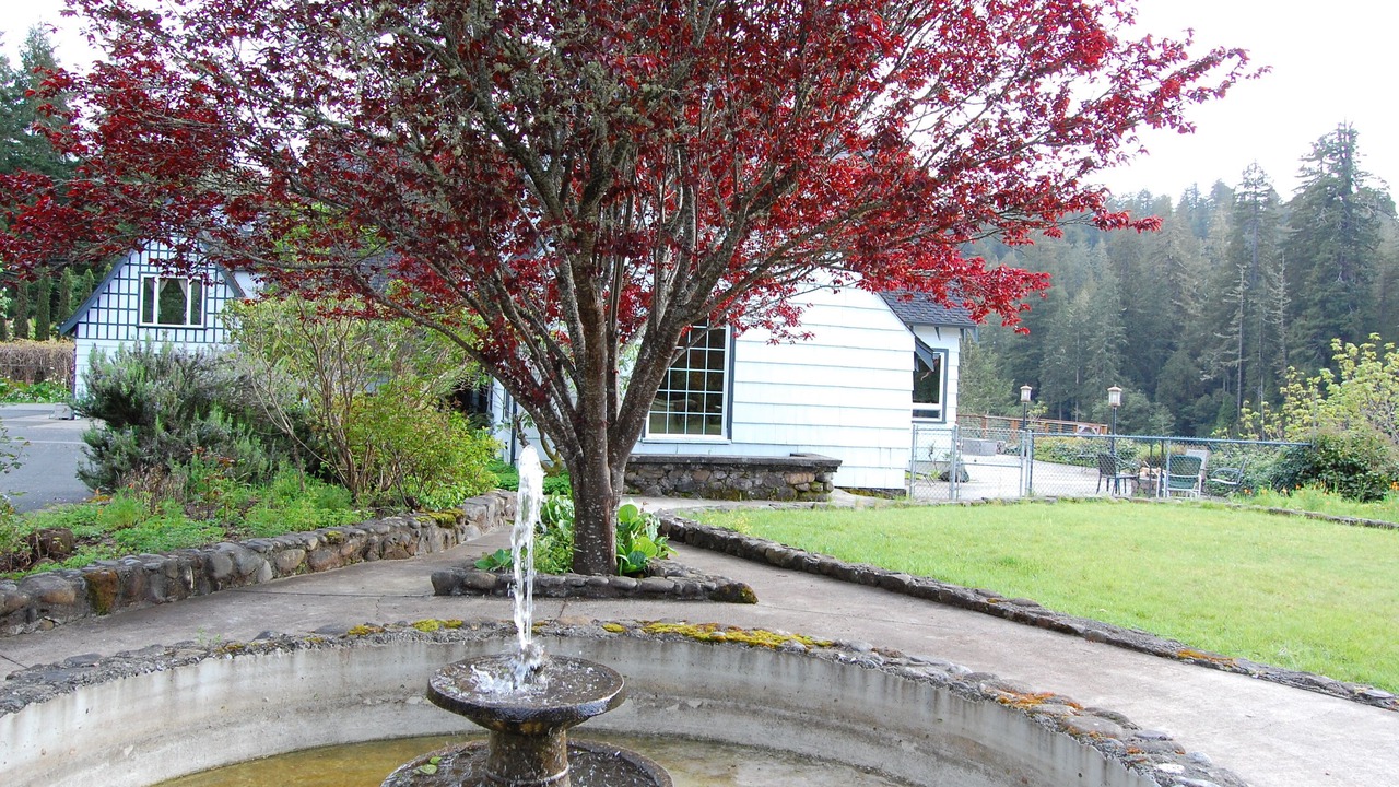 Photo of Outdoor in Crescent City