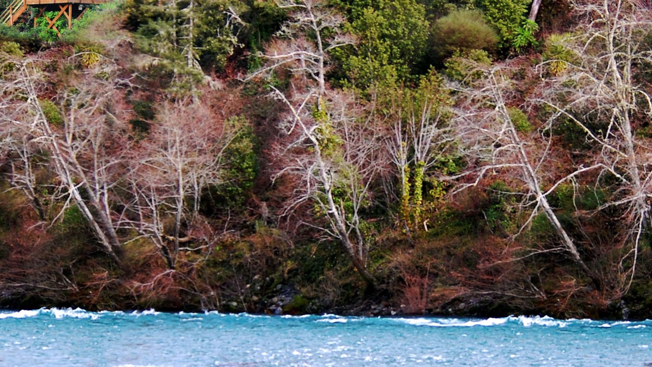 Photo of Others in Crescent City