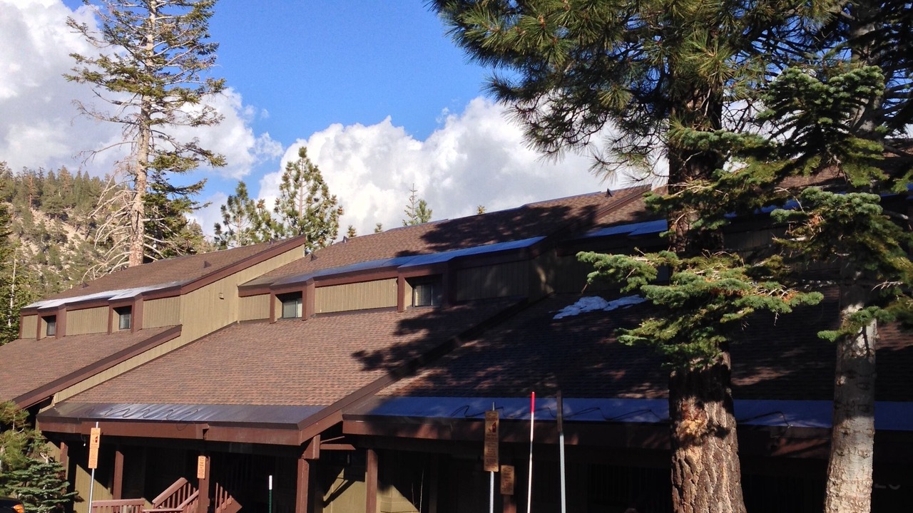 Photo of Others in Mammoth Lakes