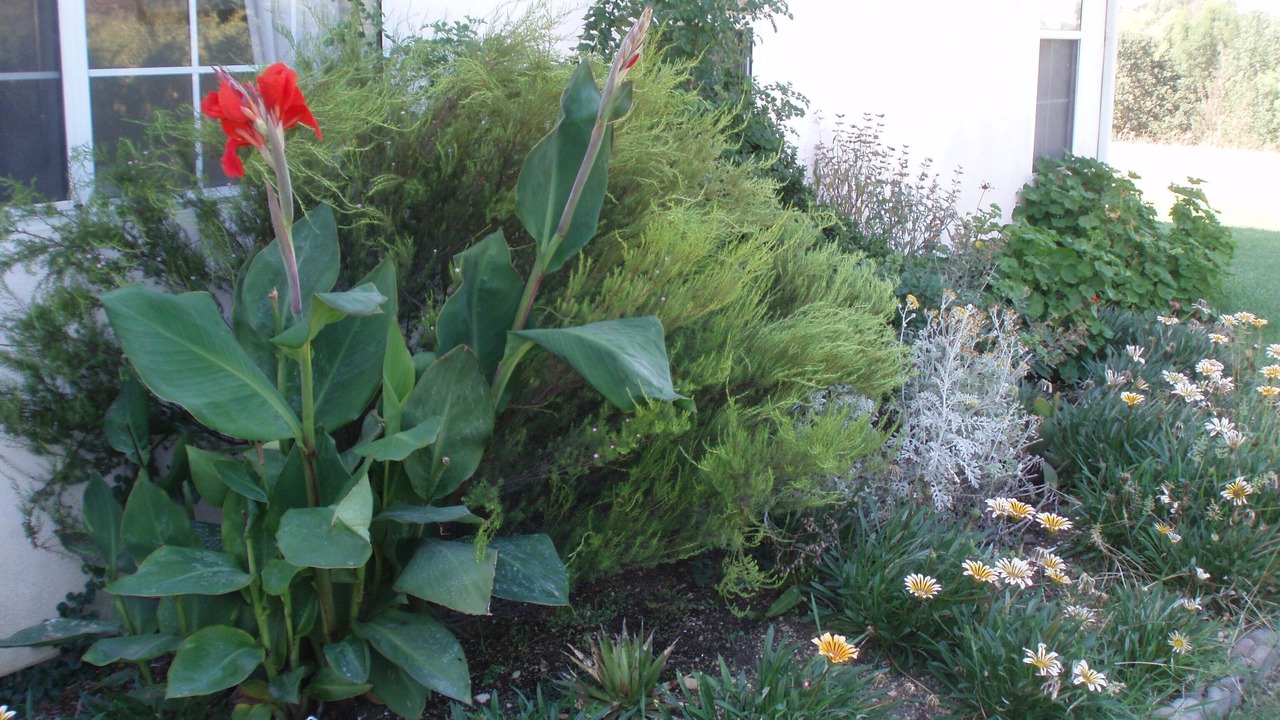 Photo of Outdoor in Santa Ynez