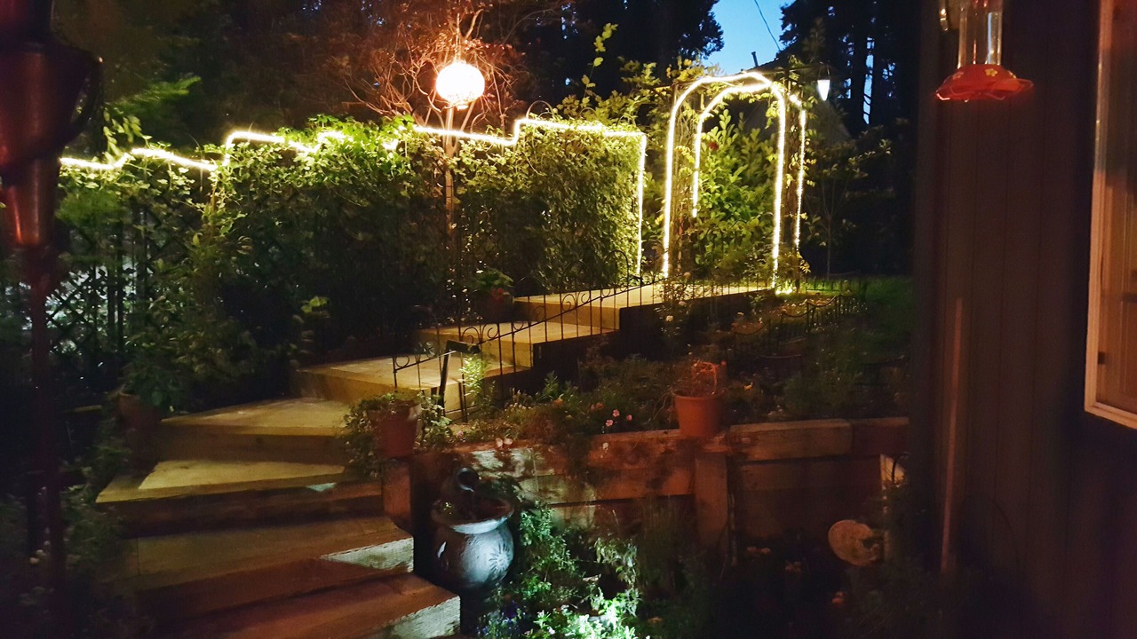 Photo of Outdoor in Lake Arrowhead