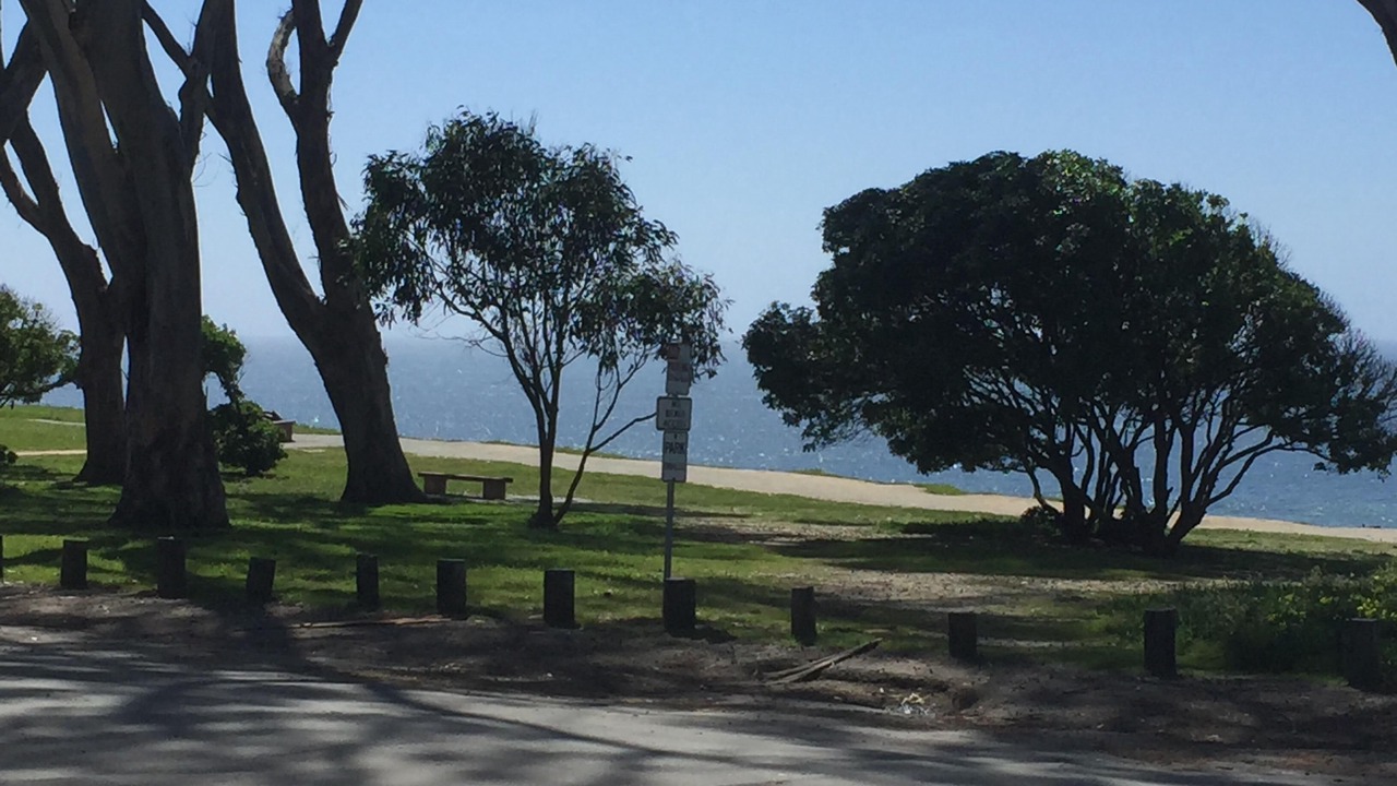 Photo of Others in La Selva Beach