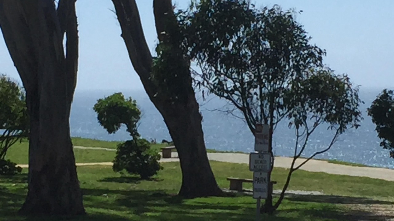 Photo of Others in La Selva Beach